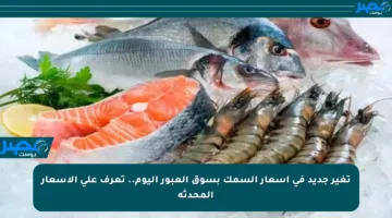 تغير جديد في أسعار السمك بسوق العبور اليوم.. تعرف على الأسعار المحدثة